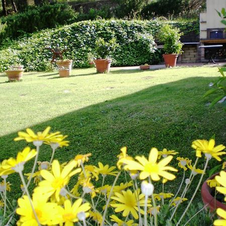 Agriturismo Santa Barbara Сан Миниато Екстериор снимка