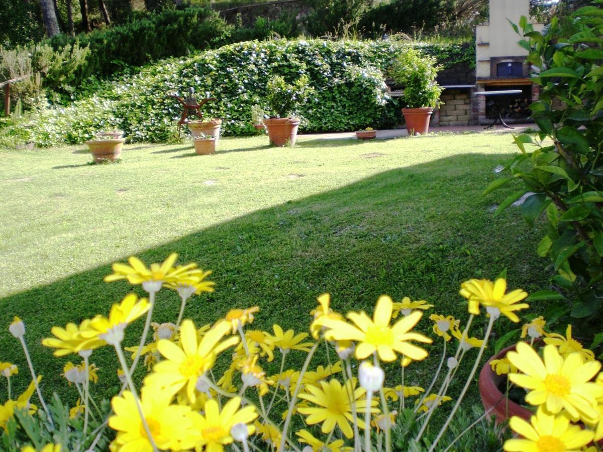 Agriturismo Santa Barbara Сан Миниато Екстериор снимка